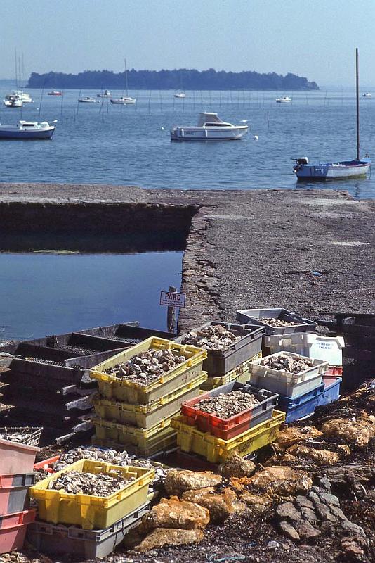 WT 2500 326-31 France 92.jpg